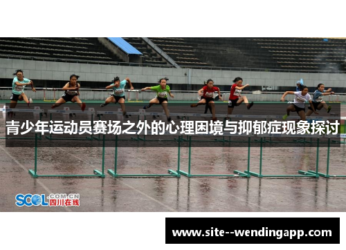 青少年运动员赛场之外的心理困境与抑郁症现象探讨
