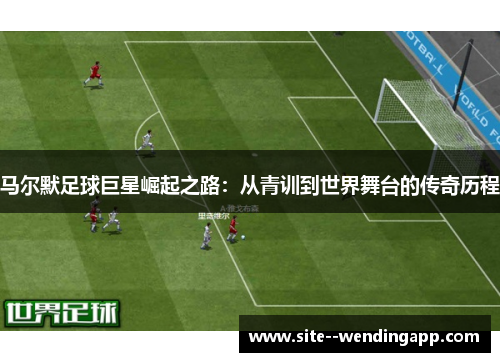 马尔默足球巨星崛起之路：从青训到世界舞台的传奇历程