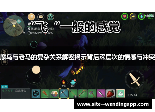 魔鸟与老马的复杂关系解密揭示背后深层次的情感与冲突