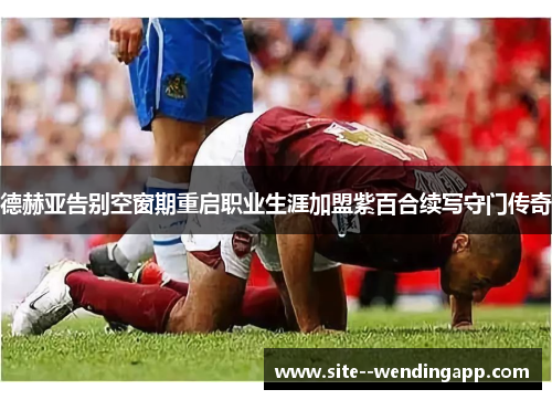 德赫亚告别空窗期重启职业生涯加盟紫百合续写守门传奇