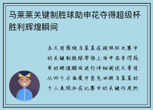 马莱莱关键制胜球助申花夺得超级杯胜利辉煌瞬间